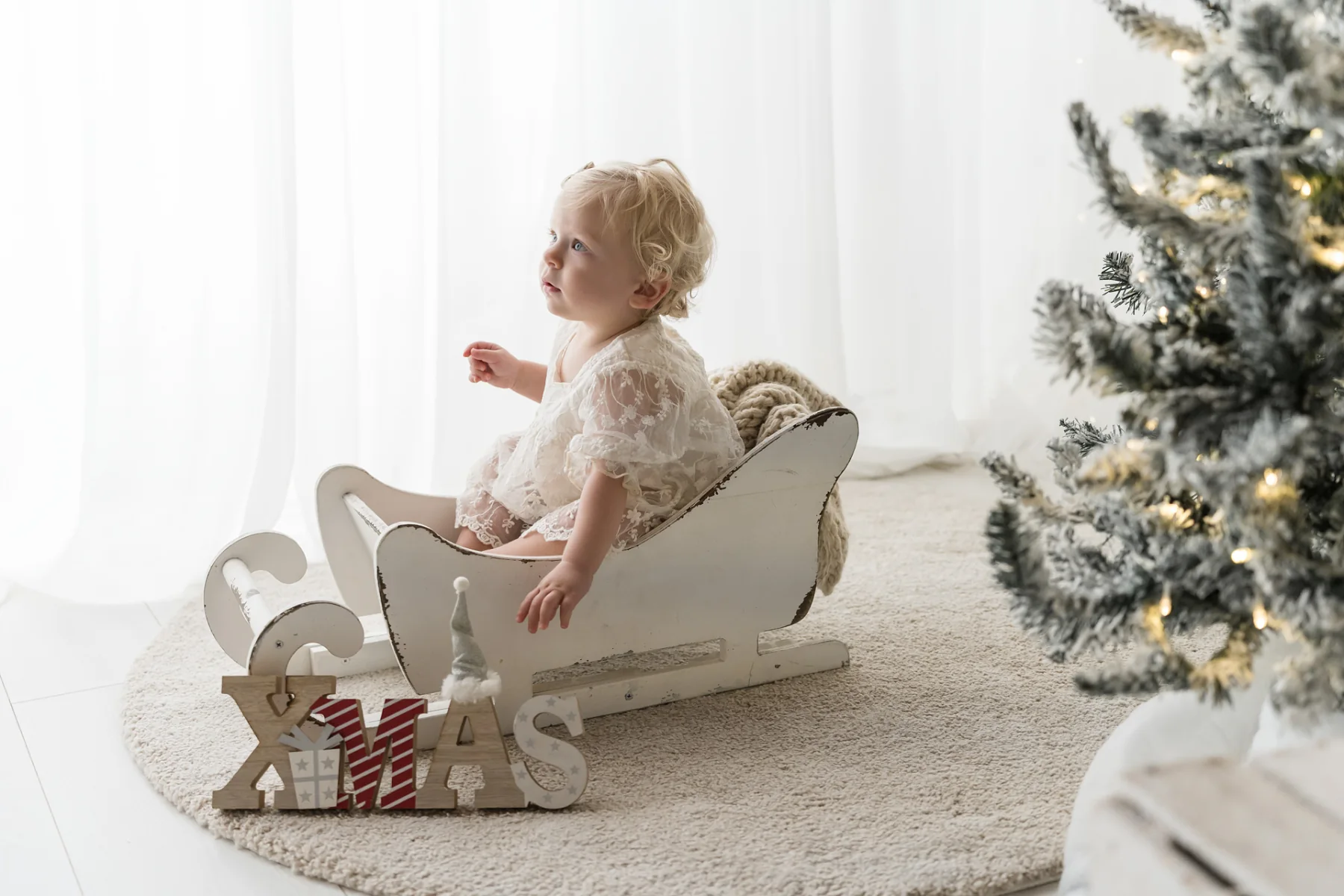 Little girl sitting in the white sleigh in front of the snowy Christmas tree, Livorno studio